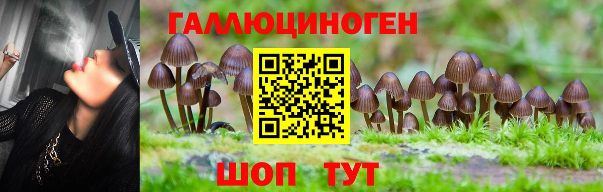 Дербент  Псилоцибиновые грибы мухоморы  Вход с VPN 